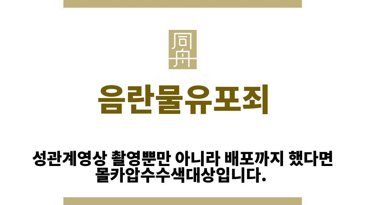 93ce1490e5d35a7069c59ccbd15e60ec_1764564478_2164.jpg "음란물유포죄“
