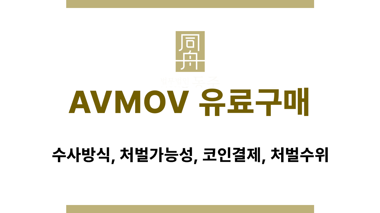 AVMOV 유료 회원 처벌 가능성 판단 기준 