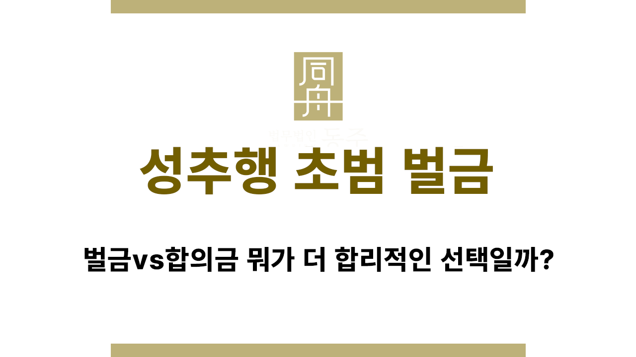 성추행 초범 벌금형과 합의 선택 기준 설명 이미지