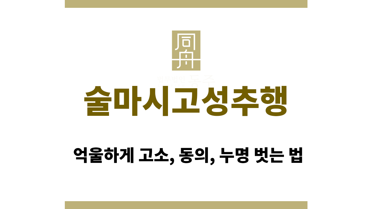 술마시고성추행|억울하게 고소, 동의, 누명 벗는 법